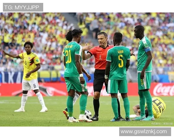 哥伦比亚与卡塔尔比赛结果揭晓精彩瞬间回顾与分析